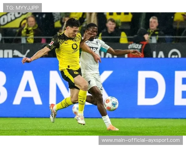 多特蒙德重塑前场体系，霍芬海姆新星加盟迎未来新篇章